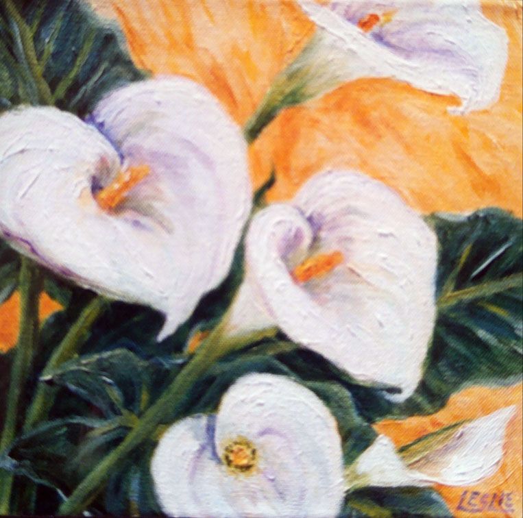 cala lillies